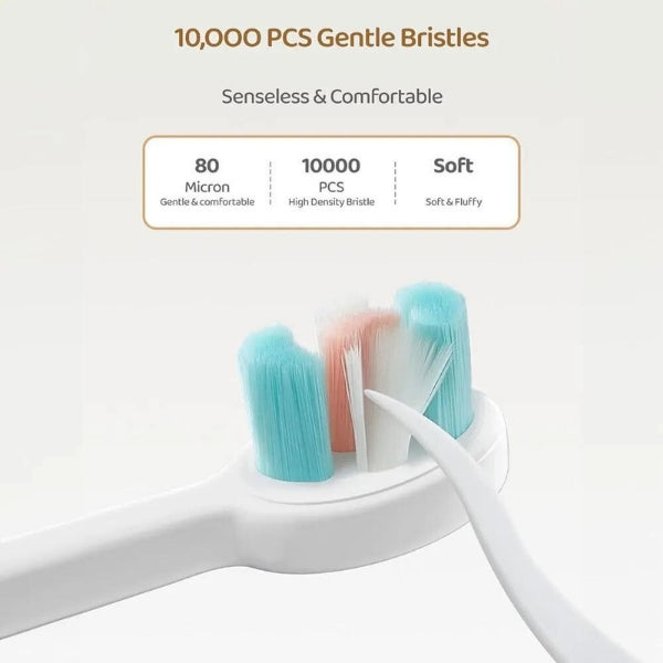 Small Character Tooth Brush