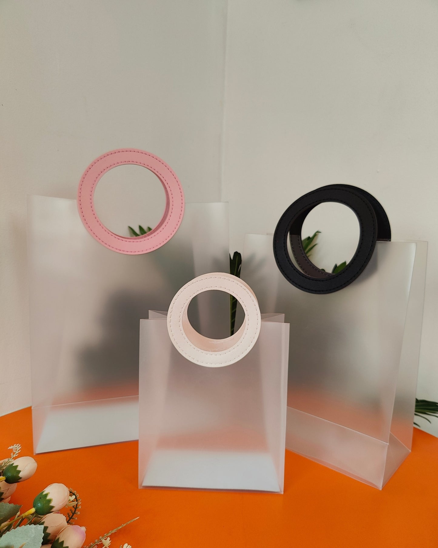 Transparent Carry Bag With Lock