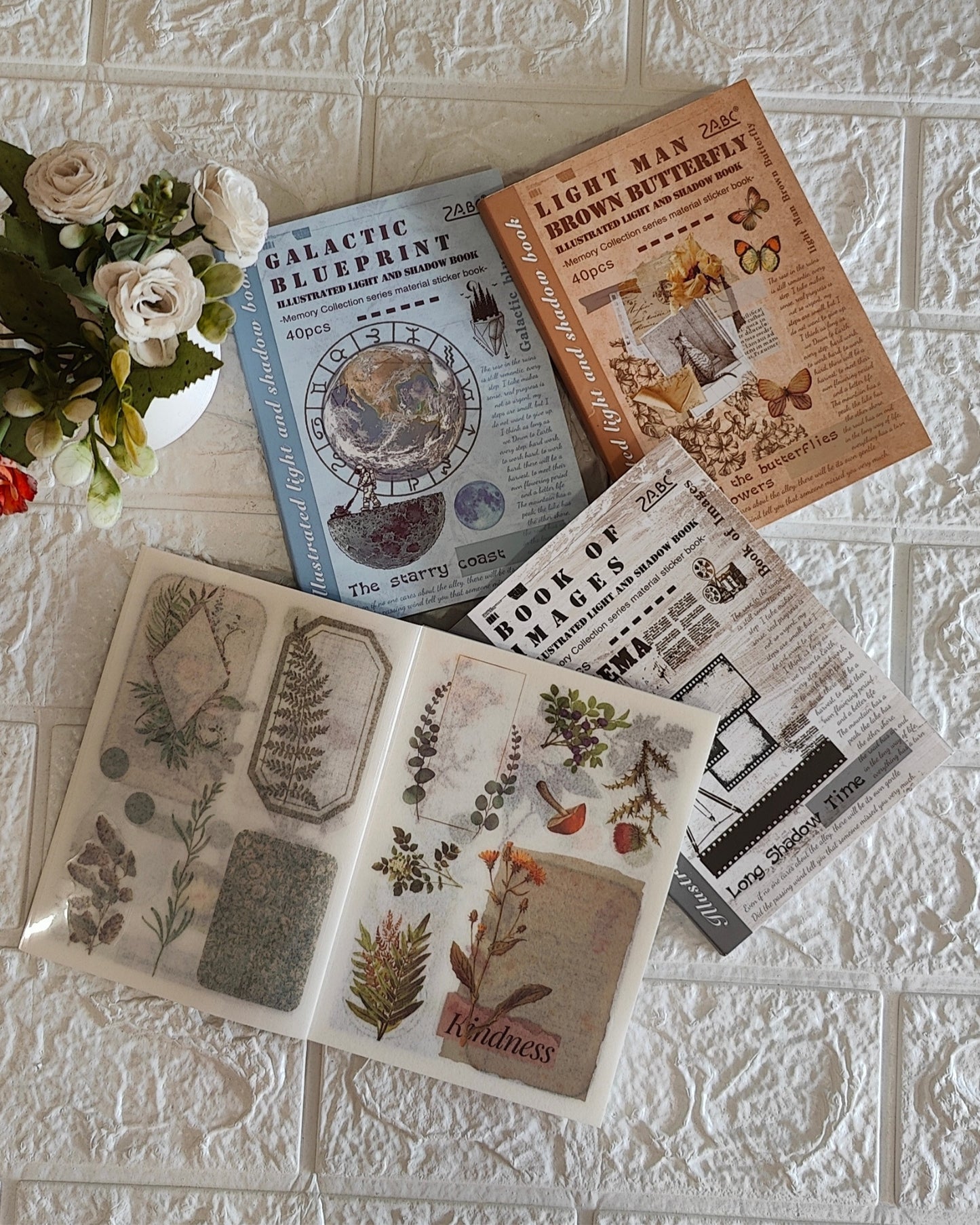 Illustrated Light And Shadow Book