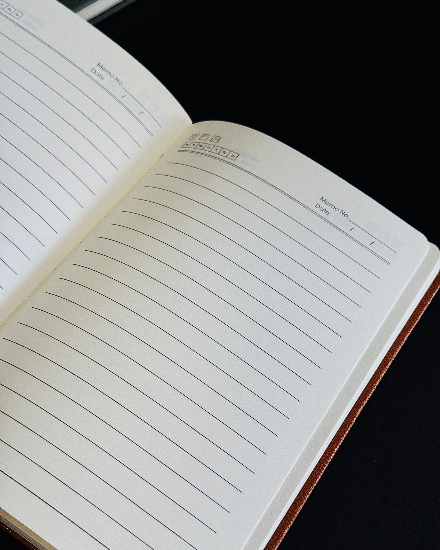 Harry Potter Magical Diary