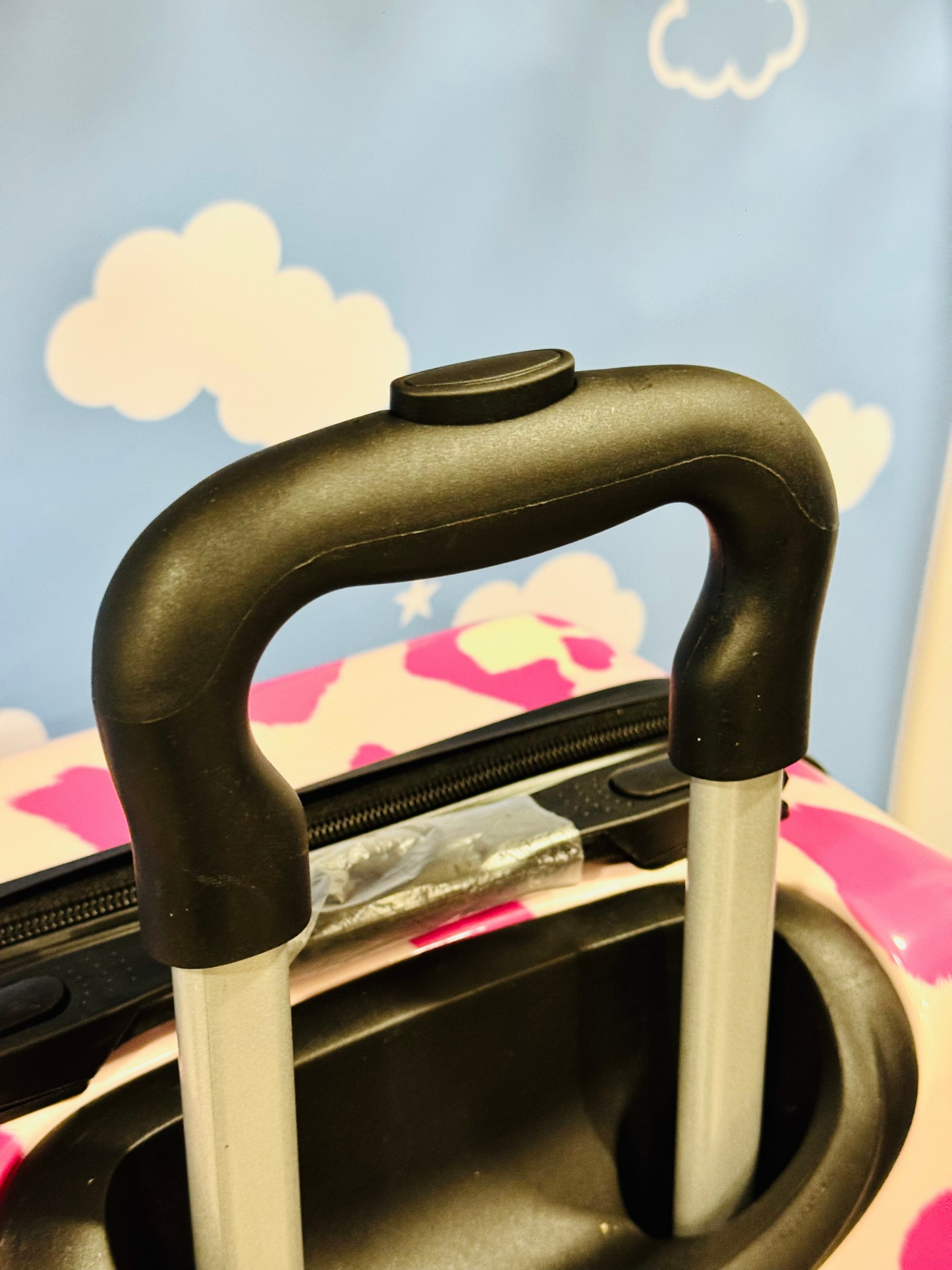 Stylish Traveling Bag Combo