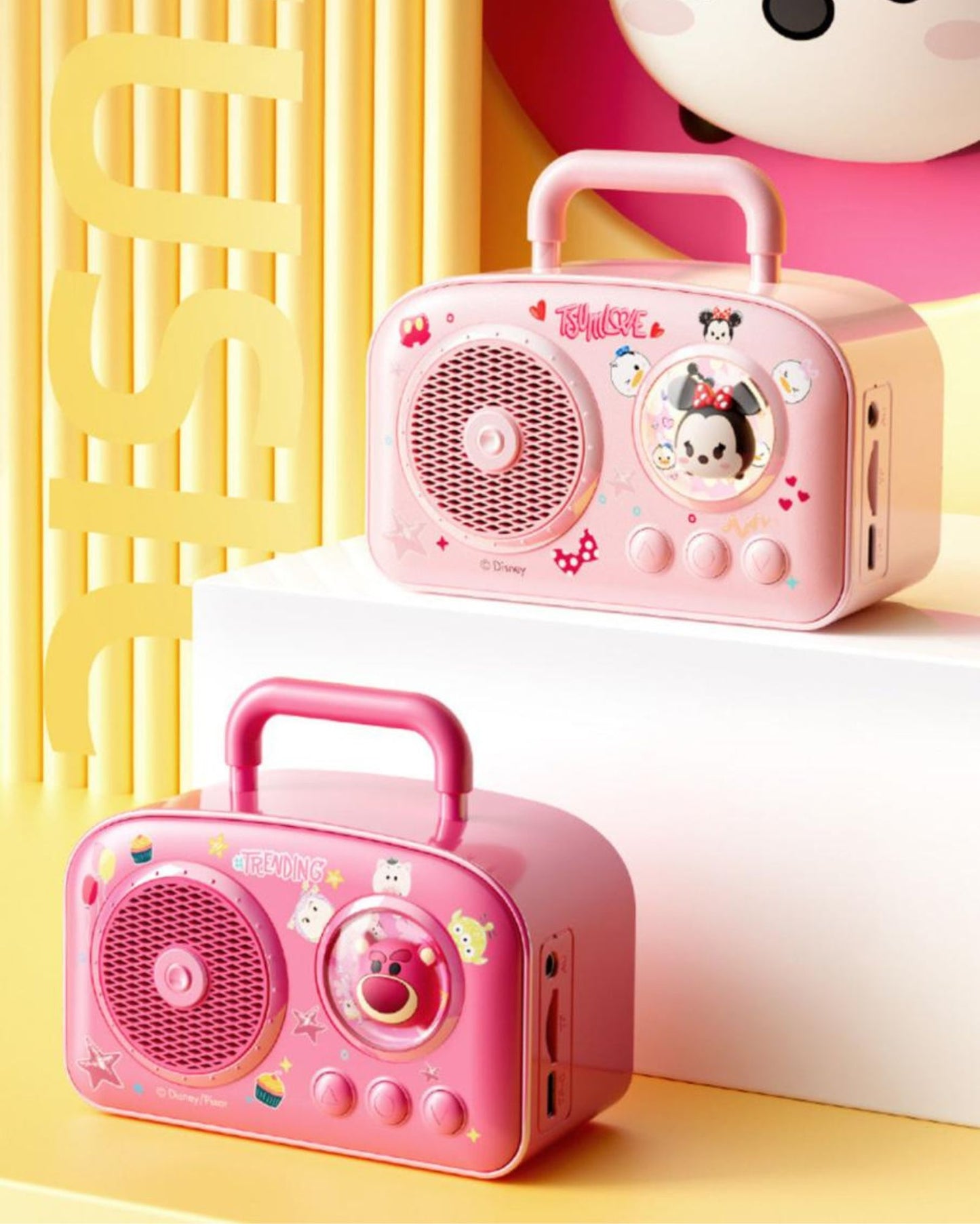 Outdoor Karaoke Speaker