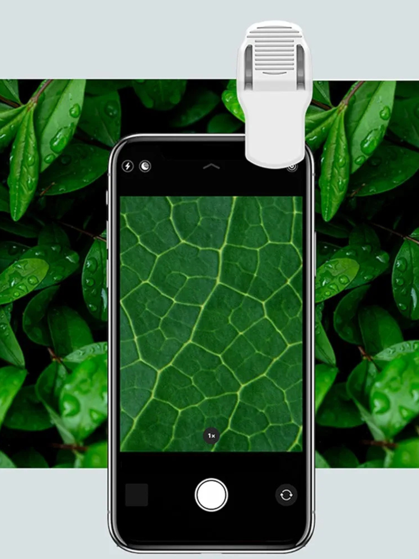 60X Mini LED Handheld Microscope Magnifying Glass