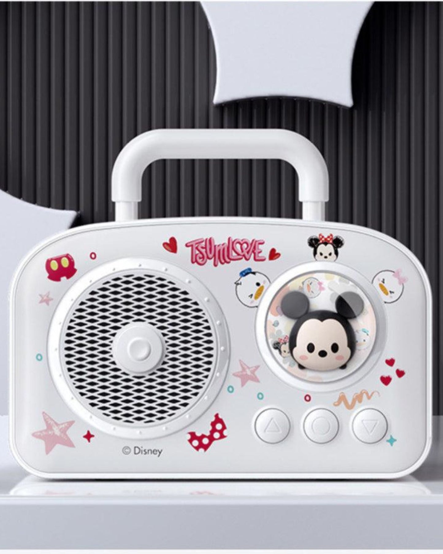 Outdoor Karaoke Speaker
