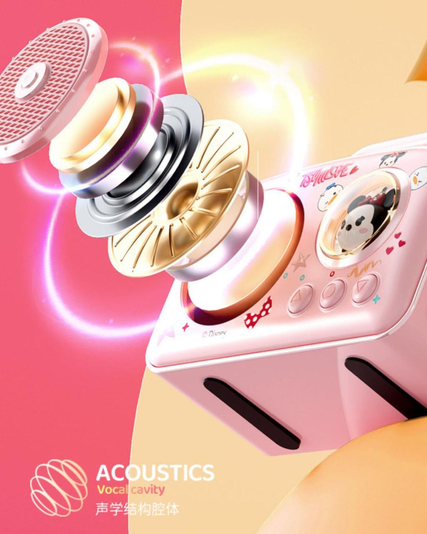 Outdoor Karaoke Speaker