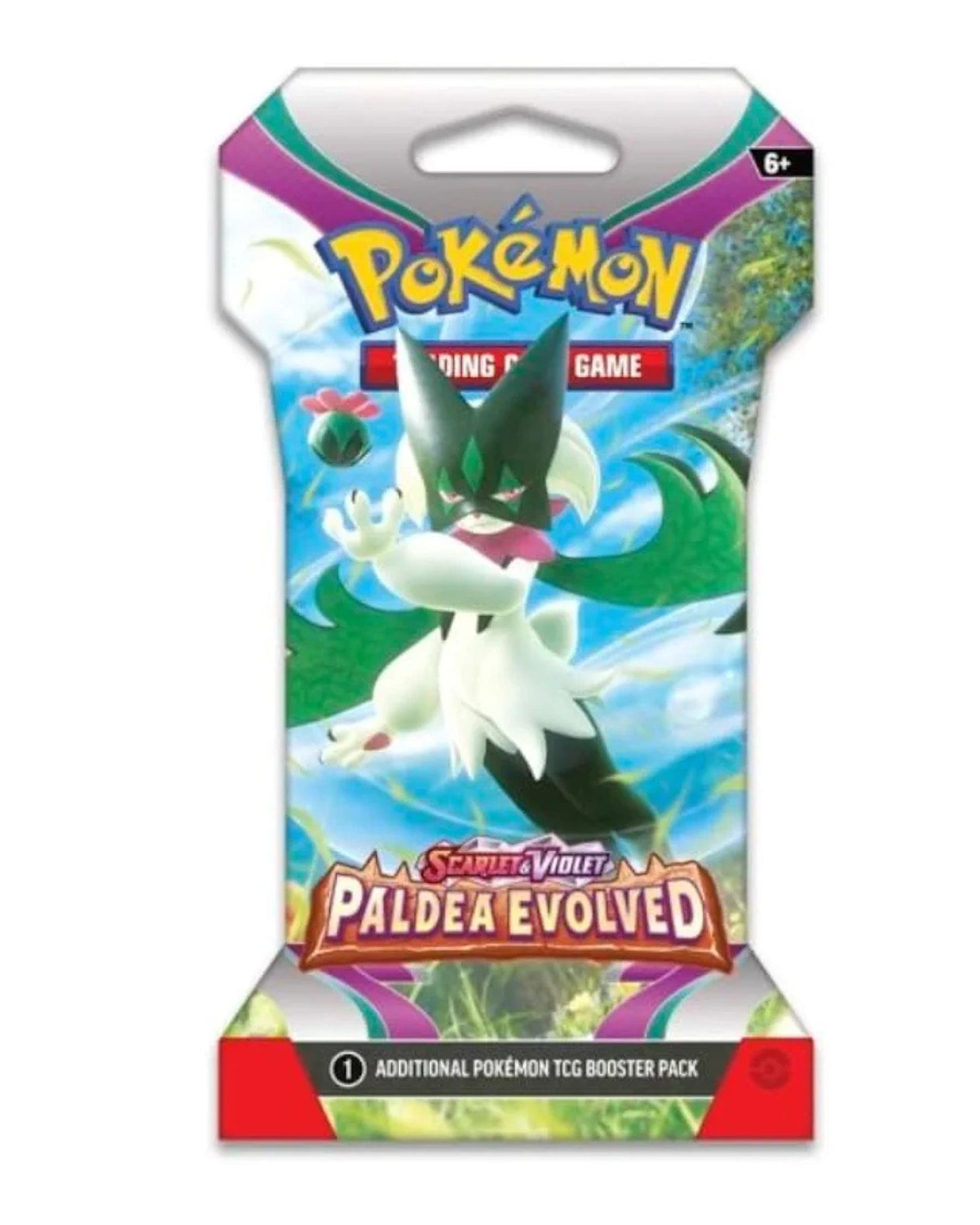 Pokemon Mini Cards