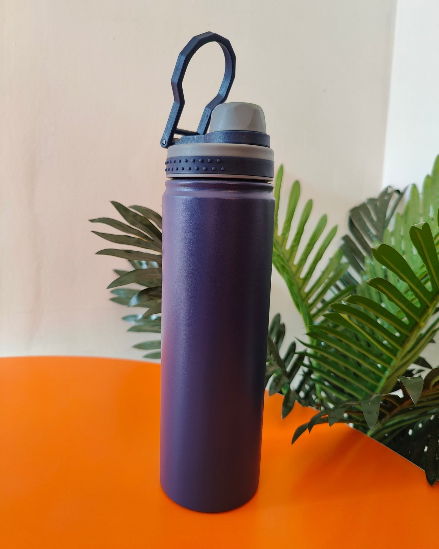 750ml Sports Bottle