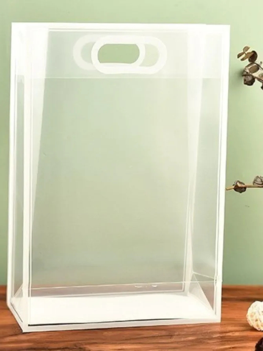 Translucent Goodie Bag (40×30×12 cm)