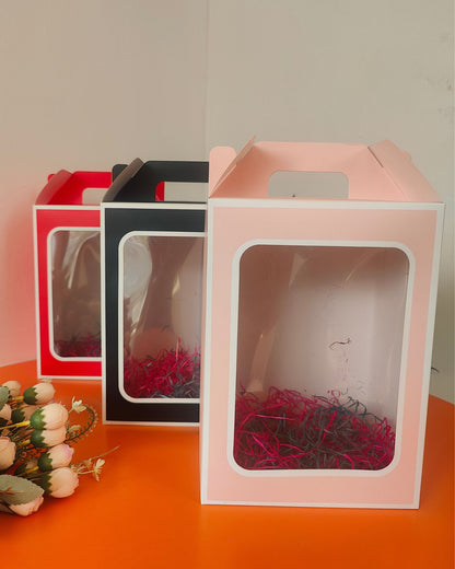 Transparent Paper Box Carry Bag