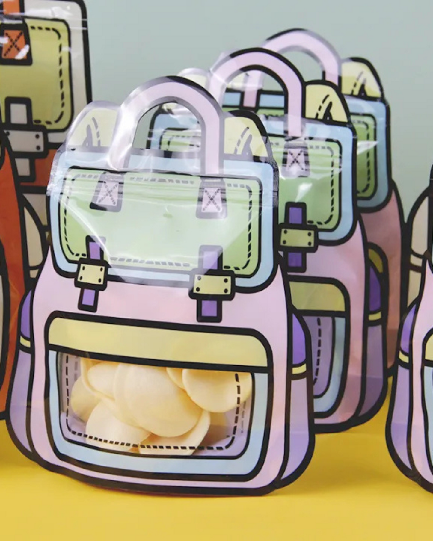 Small Bag Zip Lock Bags- Set Of 10