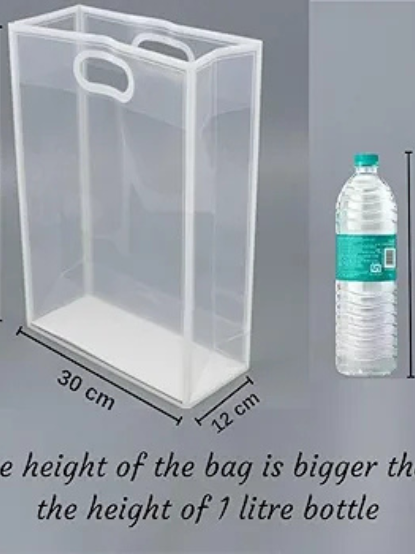 Translucent Goodie Bag (40×30×12 cm)