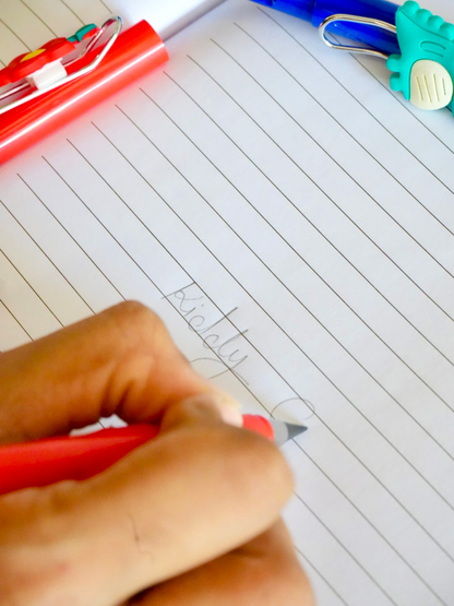 Everlasting Pencil (Random)