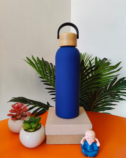 500ml Thermo Steel Water Bottle