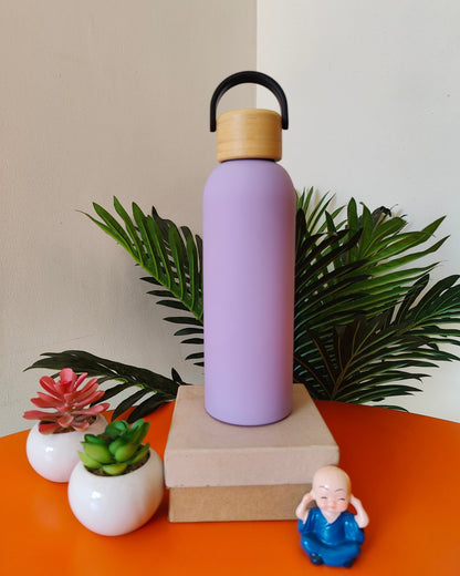 500ml Thermo Steel Water Bottle