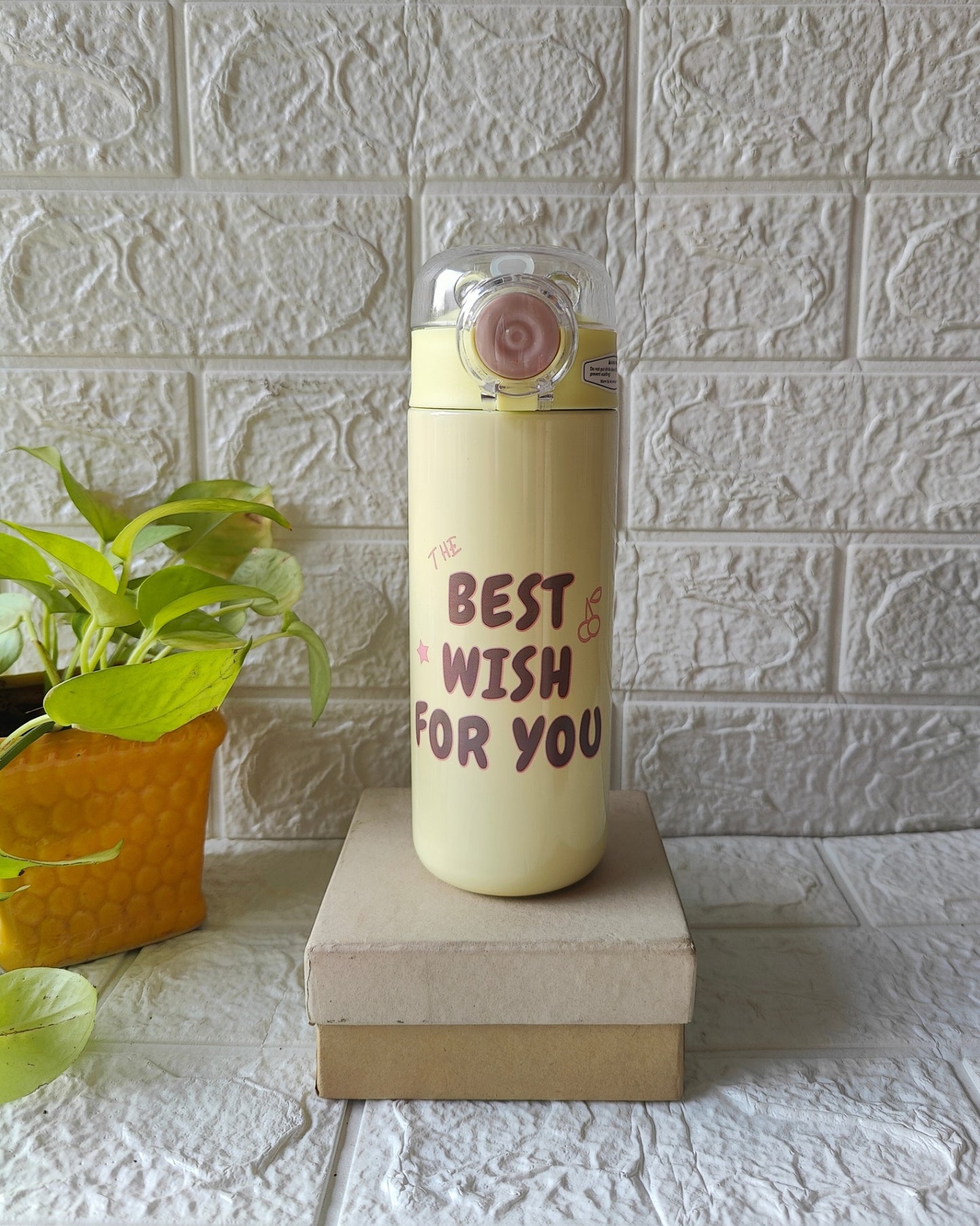 500ML Hot & Cold Straw Bottle