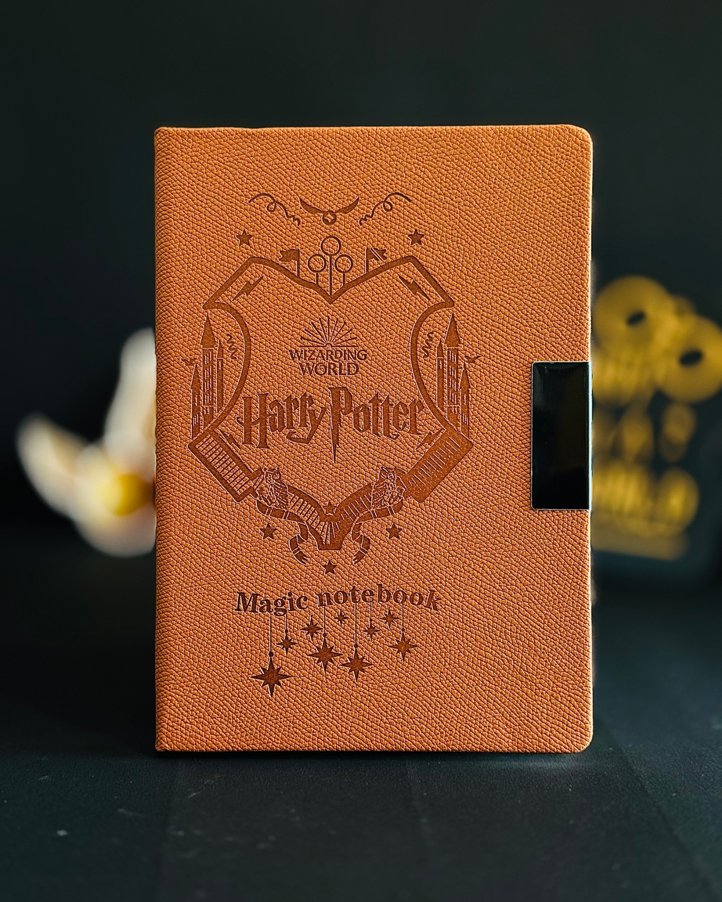 Harry Potter Magical Diary