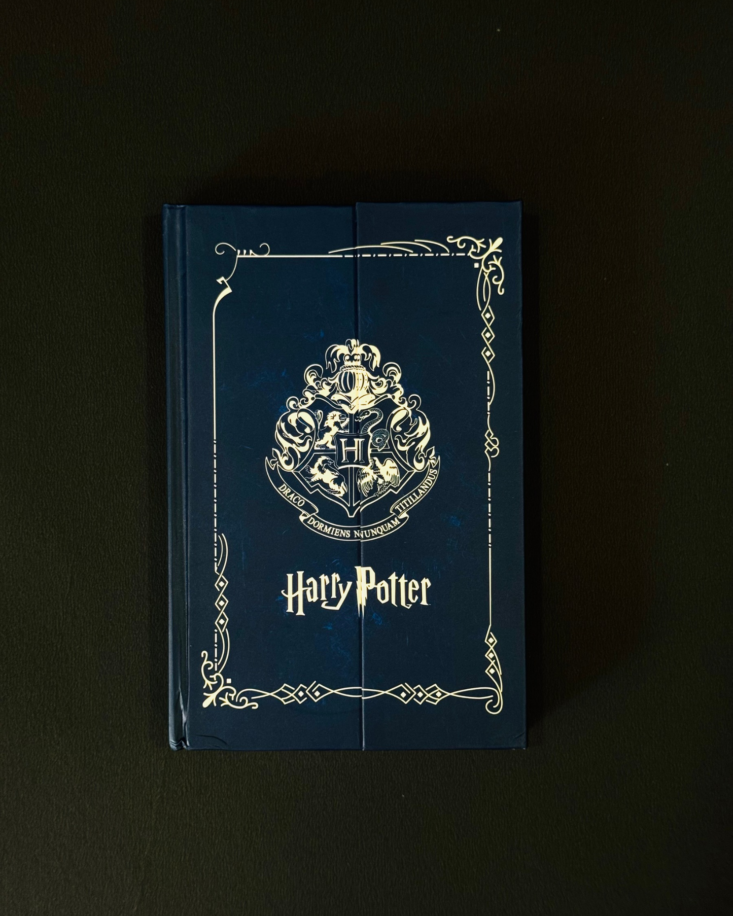 Harry Potter Diary