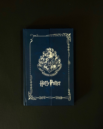 Harry Potter Diary