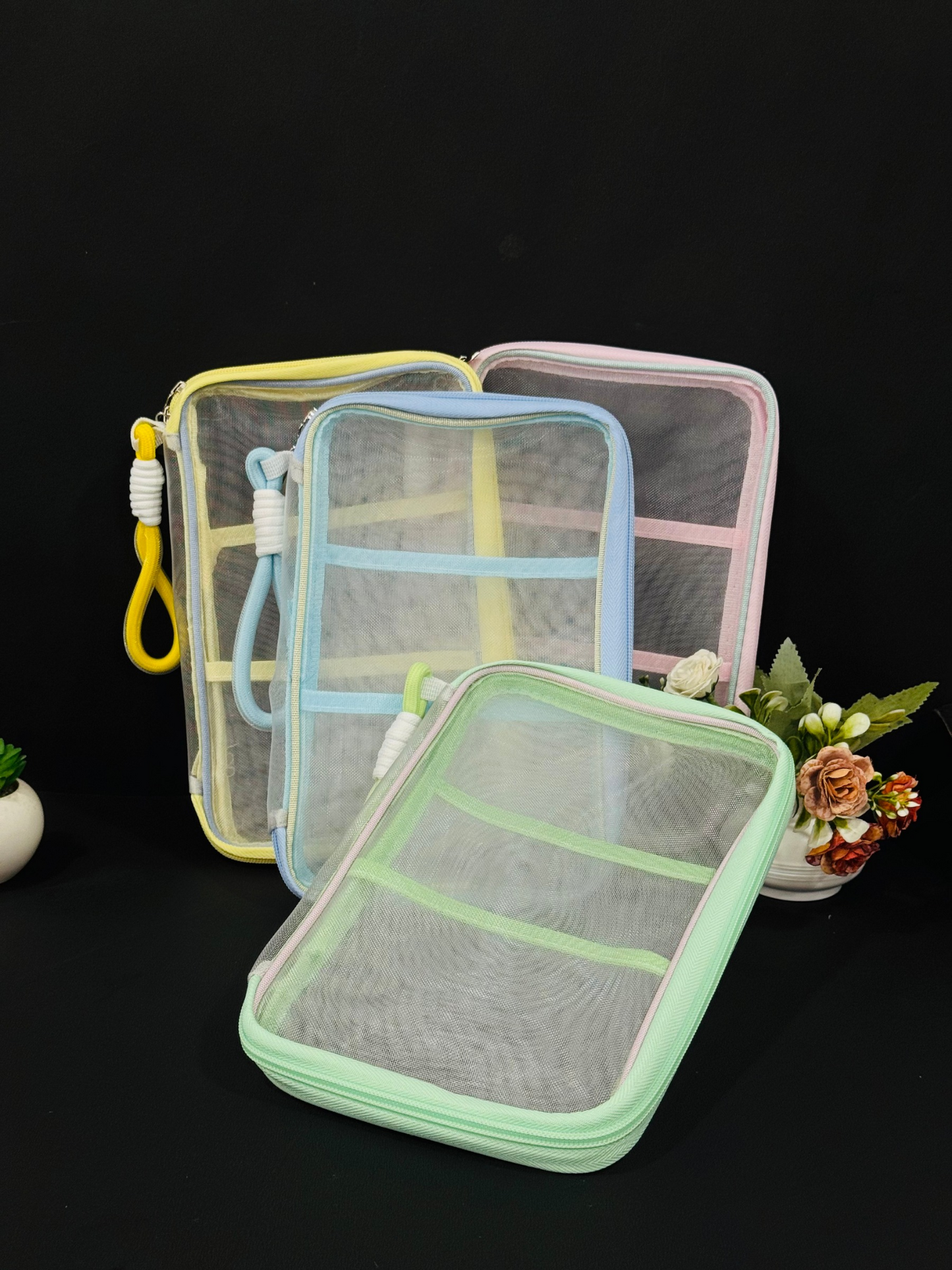 Transparent Zipper Pouch