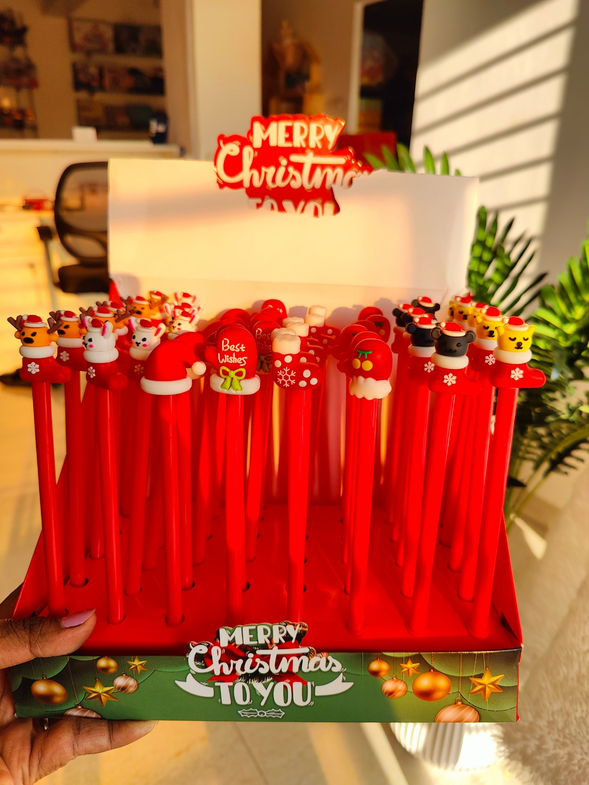 Christmas Pen