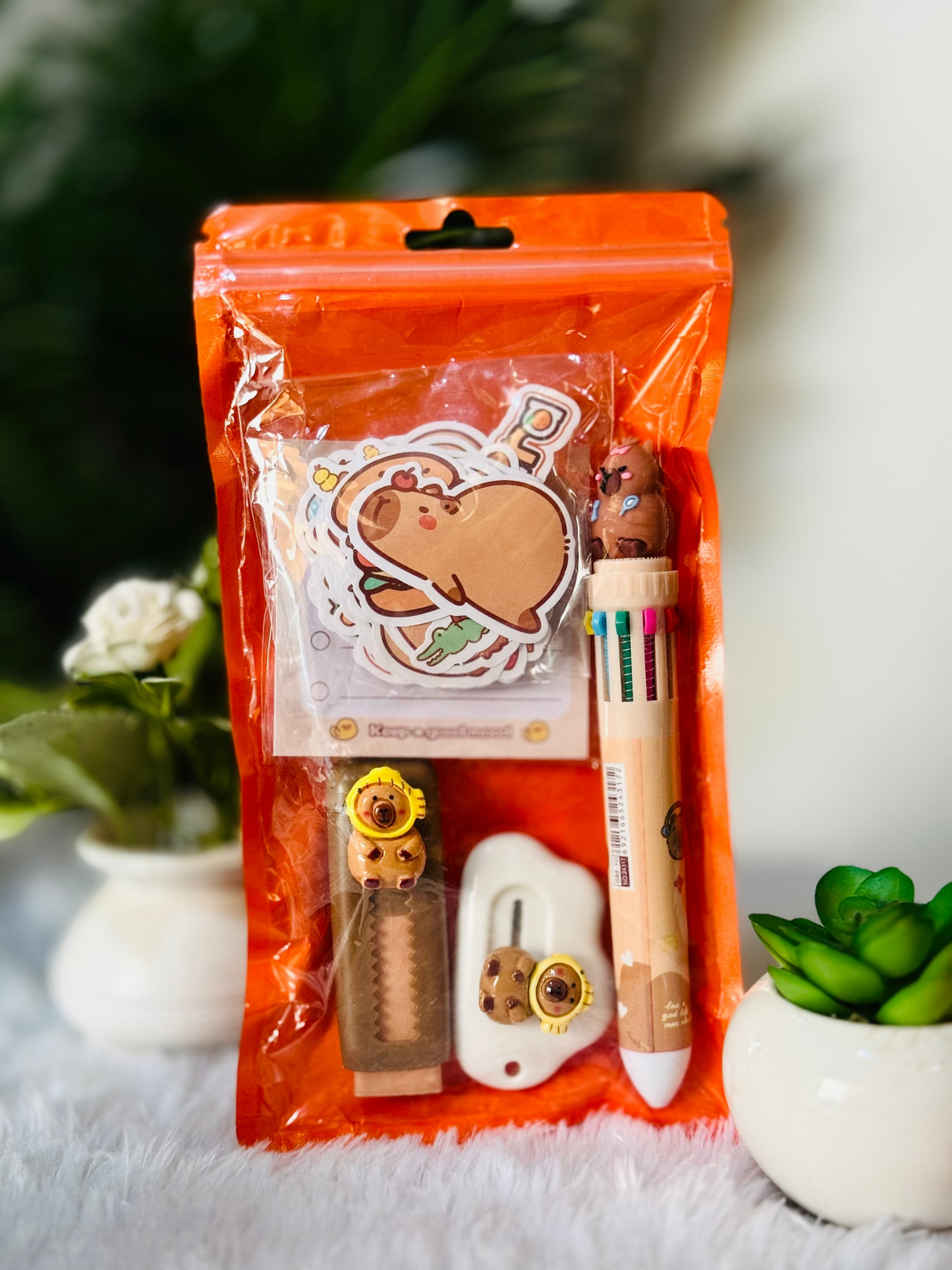 Premium Capybara 5ps Stationery Set