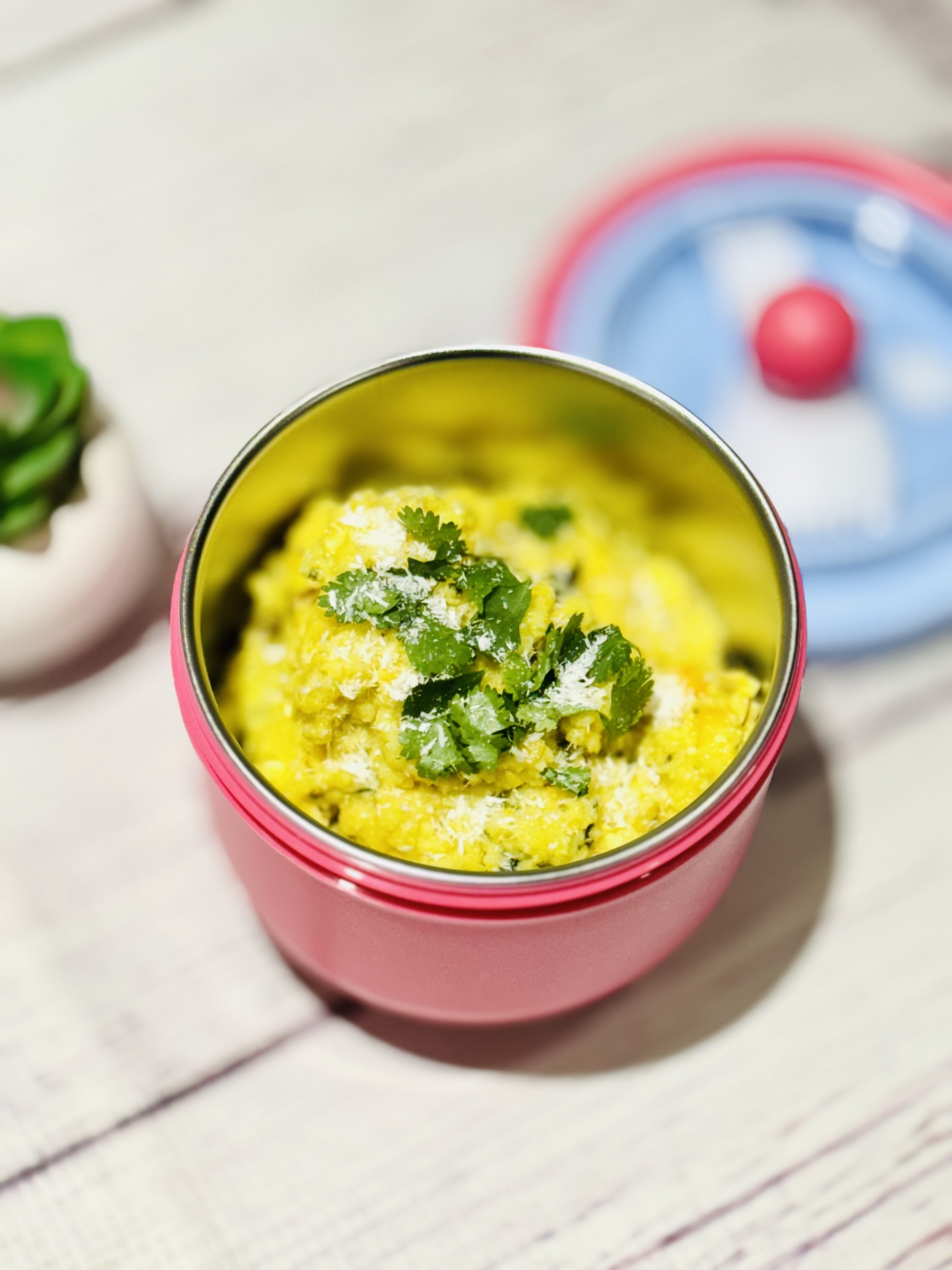 Luxury Leak Proof SS Food Jar