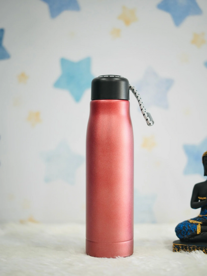 550ml Vacuum Insulated Bottle