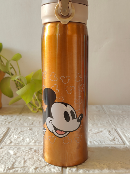 480ml Insulated SS Bottle