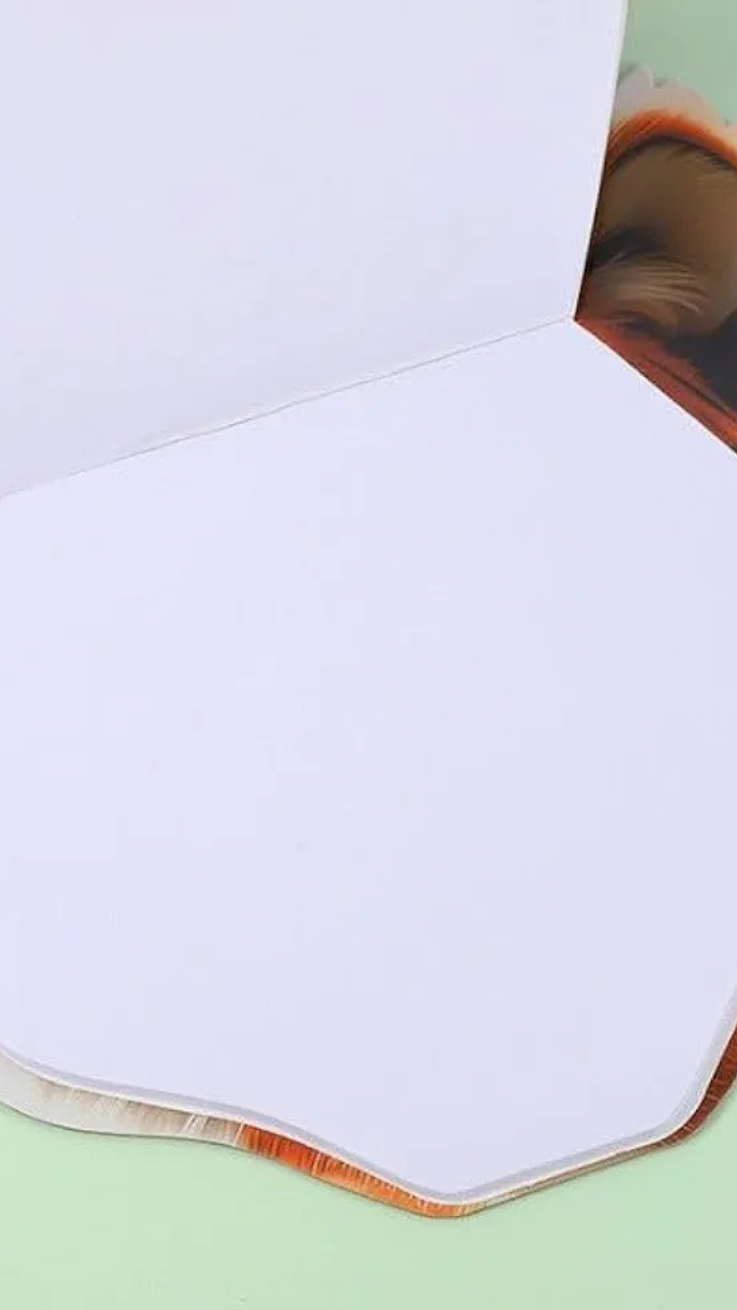 3D Animal Face Drawing Book