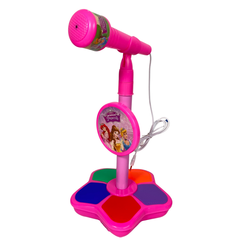 Karaoke Singing Toy