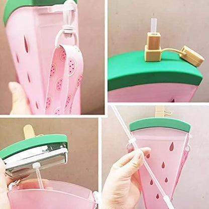 Fruit Popsicle Sipper Bottle - 320ml