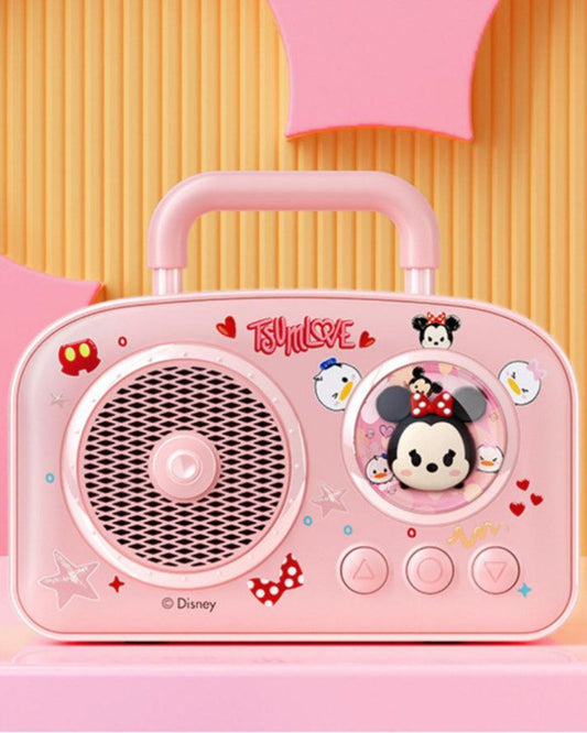 Outdoor Karaoke Speaker
