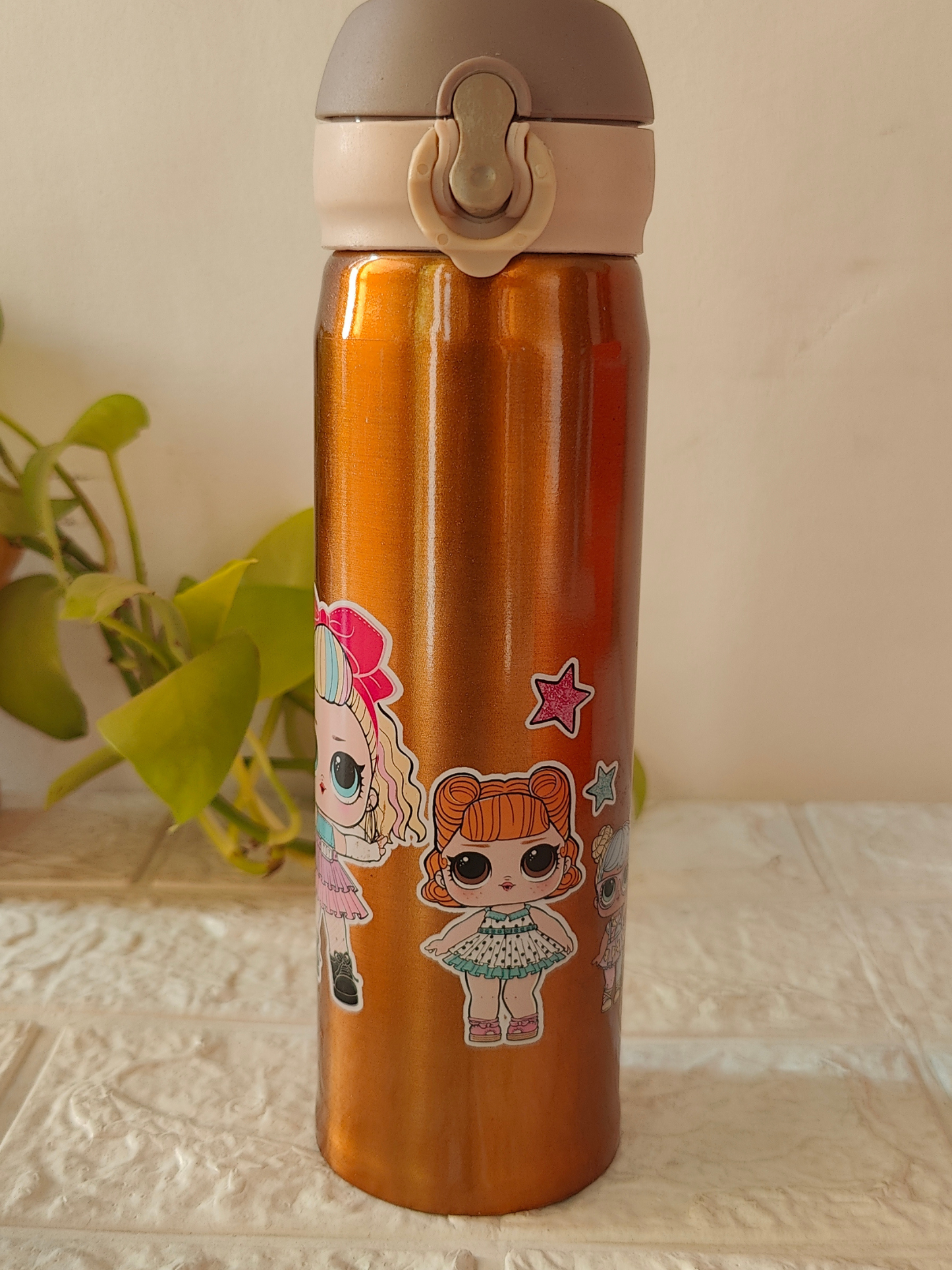 480ml Insulated SS Bottle