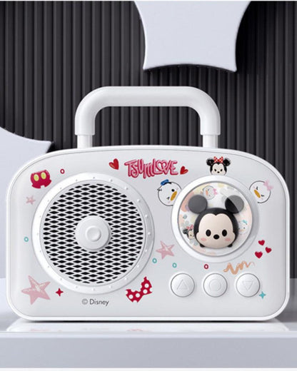 Outdoor Karaoke Speaker
