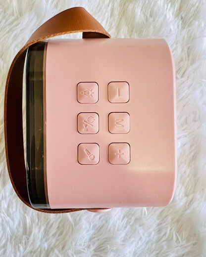 Character Karaoke Mike With Speaker