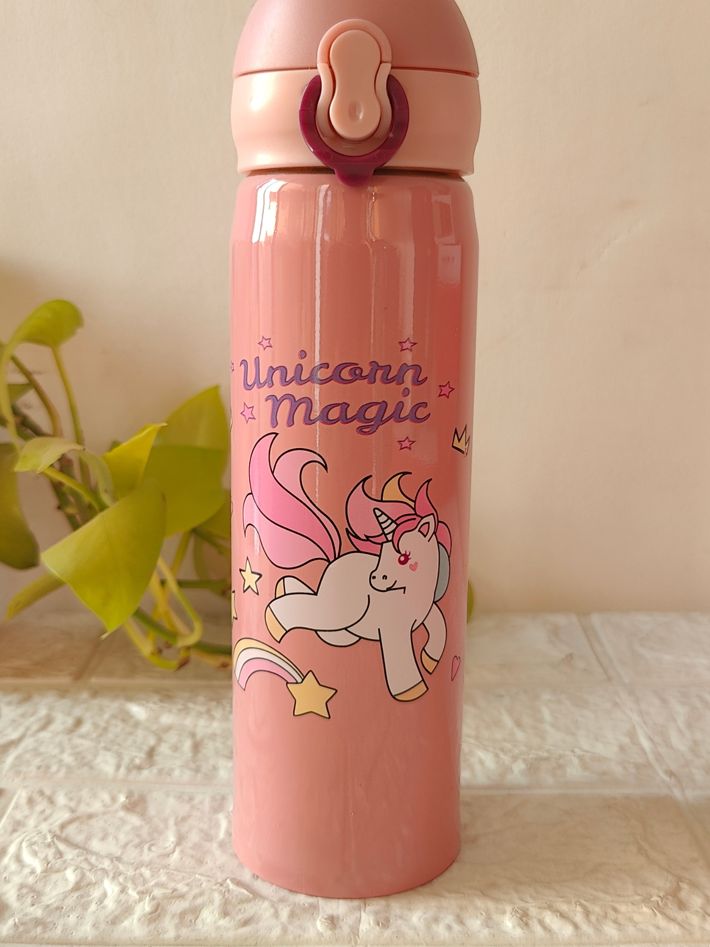 480ml Insulated SS Bottle