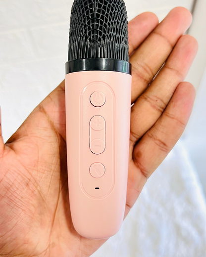 Character Karaoke Mike With Speaker