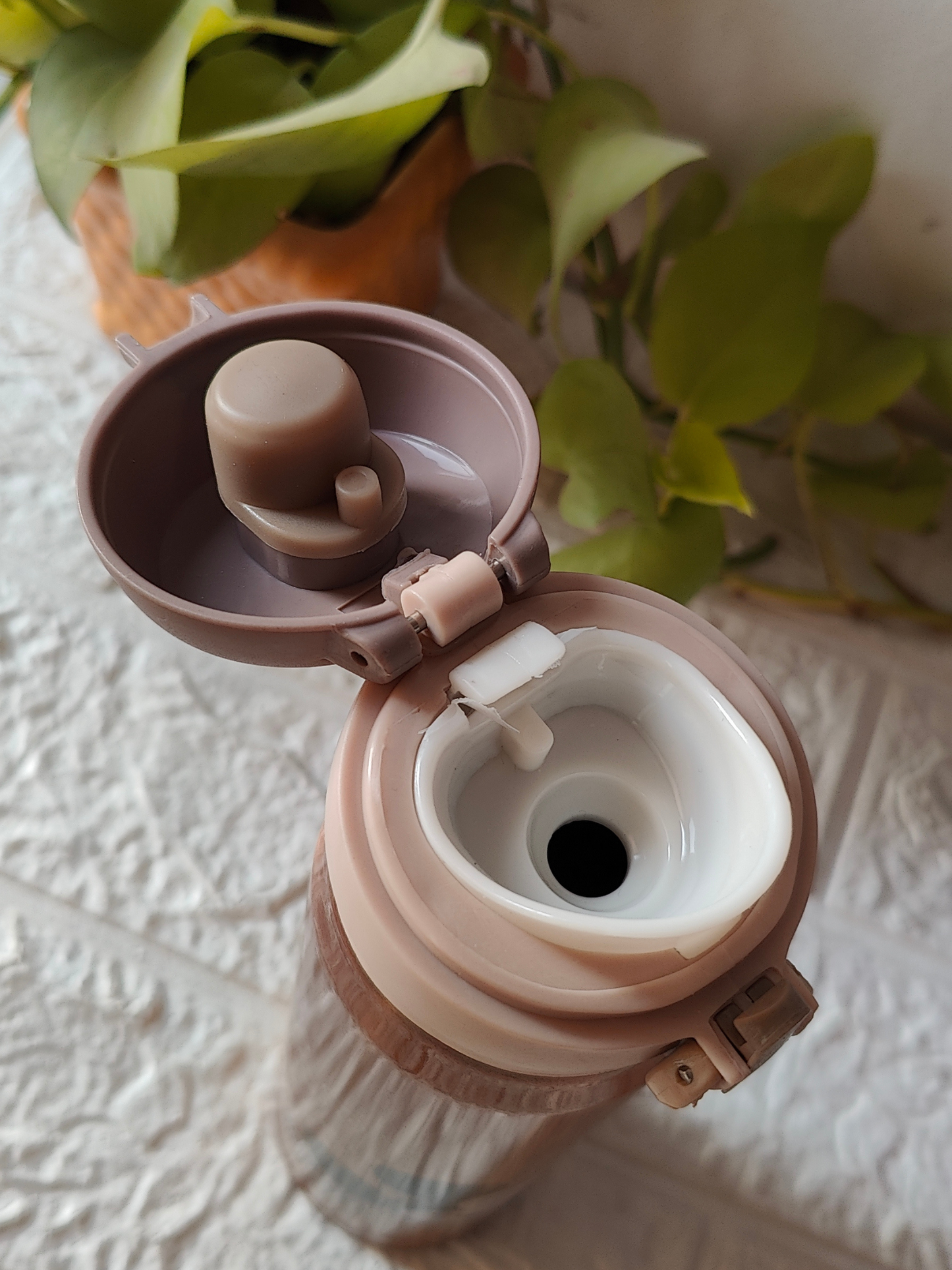 480ml Insulated SS Bottle