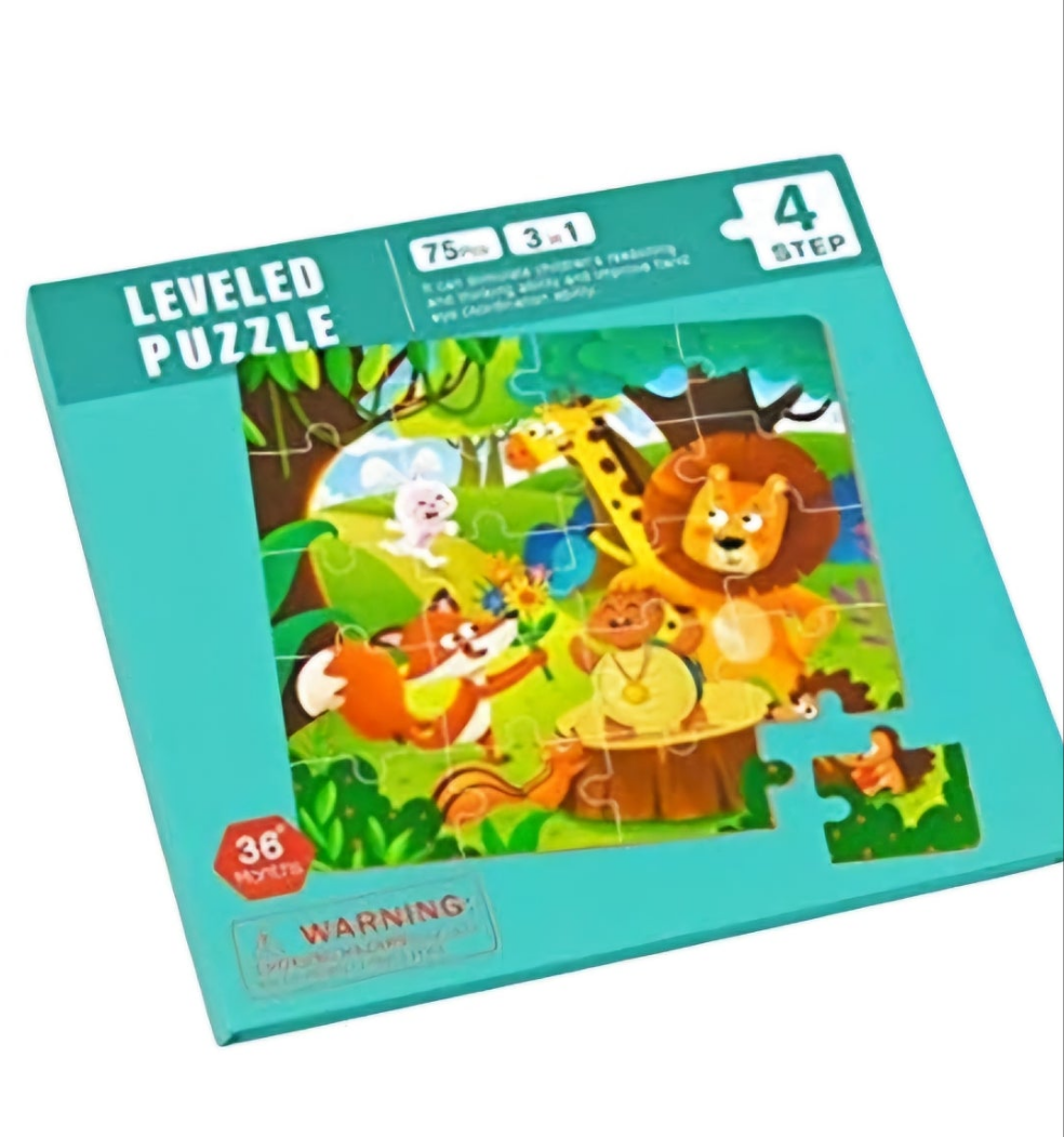 3 In 1 Magnetic Leveled Puzzles