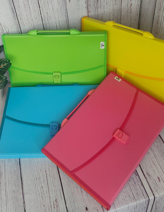 Colorful Expendable File Folder