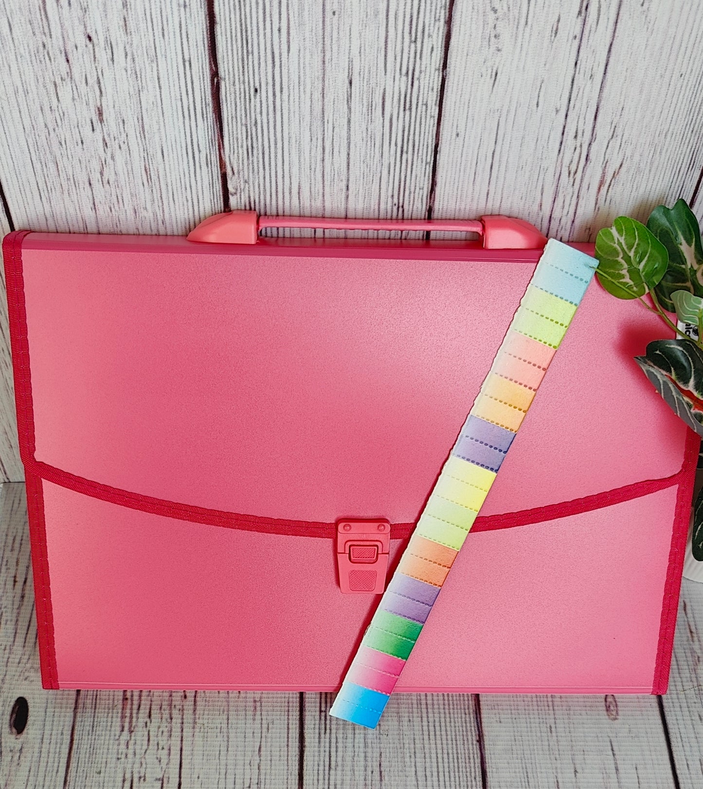 Colorful Expendable File Folder